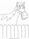 animales/cavallos/cavallos_90.JPG