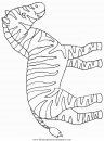animales/cebras/cebras_05.JPG