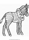 animales/cebras/cebras_06.JPG