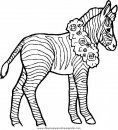 animales/cebras/cebras_13.JPG