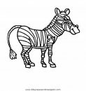 animales/cebras/cebras_14.JPG