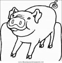 animales/cerdos/cerdos_09.JPG