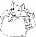 animales/cerdos/cerdos_13.JPG