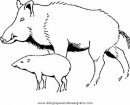 animales/cerdos/jabali_2.JPG