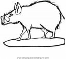 animales/cerdos/jabali_6.JPG