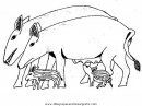 animales/cerdos/jabali_7.JPG