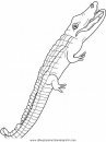 animales/cocodrilos/cocodrilos03.JPG