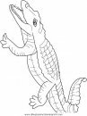 animales/cocodrilos/cocodrilos04.JPG