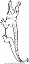 animales/cocodrilos/cocodrilos12.JPG