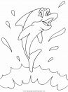 animales/delfines/delfines_01.JPG