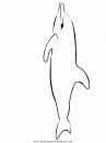 animales/delfines/delfines_02.JPG