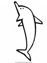 animales/delfines/delfines_04.JPG