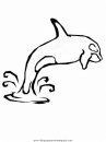 animales/delfines/delfines_05.JPG