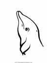 animales/delfines/delfines_08.JPG