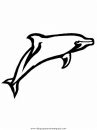 animales/delfines/delfines_09.JPG