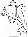 animales/delfines/delfines_10.JPG