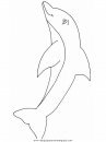 animales/delfines/delfines_11.JPG