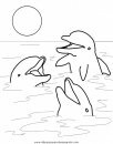 animales/delfines/delfines_13.JPG