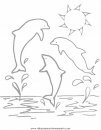 animales/delfines/delfines_14.JPG