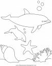 animales/delfines/delfines_15.JPG