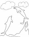 animales/delfines/delfines_16.JPG