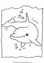animales/delfines/delfines_23.JPG