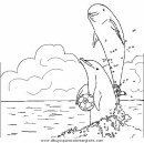 animales/delfines/delfines_25.JPG