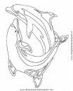 animales/delfines/delfines_28.JPG