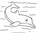 animales/delfines/delfines_31.JPG
