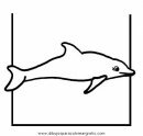 animales/delfines/delfines_32.JPG