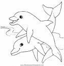 animales/delfines/delfines_35.JPG