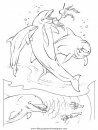 animales/delfines/delfines_36.JPG
