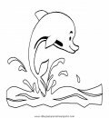 animales/delfines/delfines_37.JPG