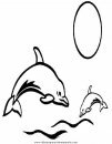 animales/delfines/delfines_39.JPG