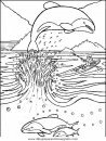 animales/delfines/delfines_43.JPG