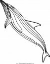 animales/delfines/delfines_45.JPG