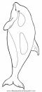 animales/delfines/delfines_48.JPG