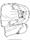 animales/dinosaurios/dinosaurios_209.JPG