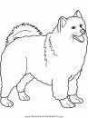 animales/dinosaurios/dinosaurios_212.JPG