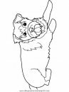 animales/dinosaurios/dinosaurios_213.JPG
