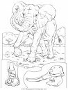 animales/elefantes/elefantes_14.JPG