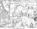 animales/elefantes/elefantes_15.JPG