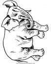 animales/elefantes/elefantes_50.JPG