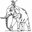 animales/elefantes/elefantes_51.JPG
