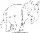 animales/elefantes/elefantes_54.JPG