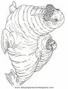 animales/focas/focas_03.JPG