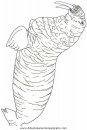 animales/focas/focas_04.JPG