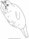 animales/focas/focas_06.JPG