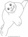 animales/focas/focas_07.JPG