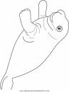 animales/focas/focas_08.JPG